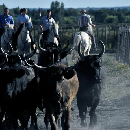 Les Pieds Dans L'eau - Magnifique P2 Proche De La Apartmán