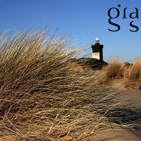 Les Pieds Dans L'eau - Magnifique P2 Proche De La Le Grau-du-Roi