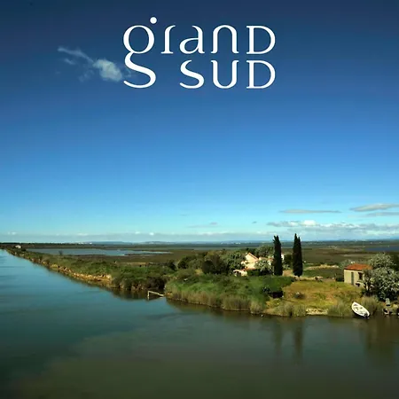 Les Pieds Dans L'Eau - Appartement Moderne A 50 M Plage Le Grau-Du-Roi * Le Grau-du-Roi