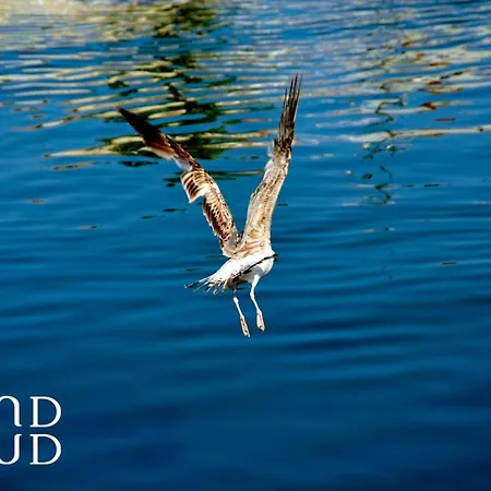 Les Pieds Dans L'eau - Magnifique P2 Proche De La *