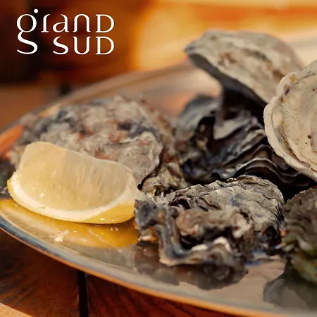 Les Pieds Dans L'eau - Magnifique P2 Proche De La Apartment *