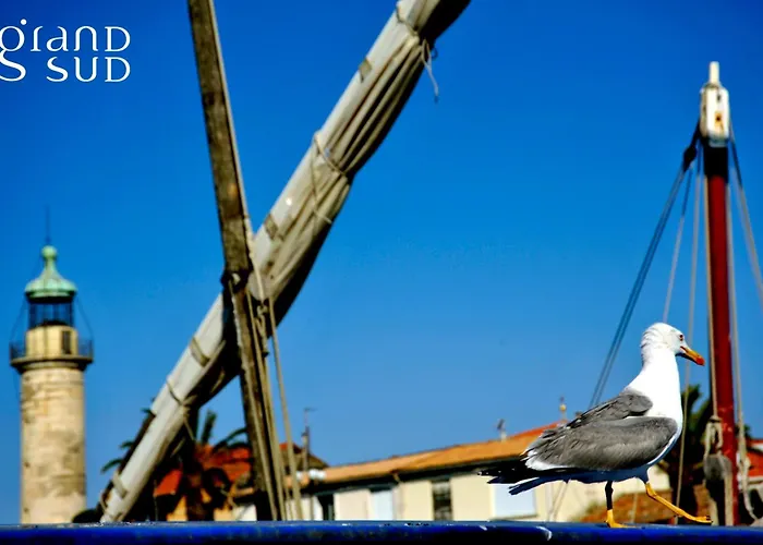 Les Pieds Dans L'eau - Magnifique P2 Proche De La