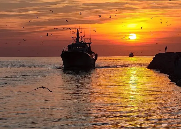 דירה Les Pieds Dans L'eau - Magnifique P2 Proche De La
